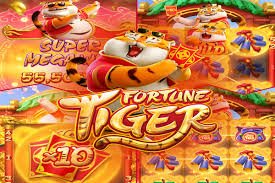 555 club Dragon Tiger Live Casino Card Game